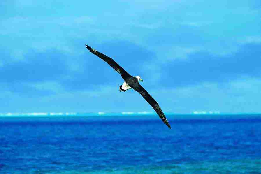 Ice Kingdom - Digital Vision ></a>
<script language=JavaScript> 
  var txt = 