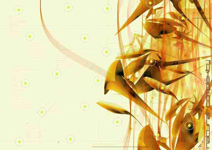 Infinity - Digital Vision ></a>
<script language=JavaScript> 
  var txt = 