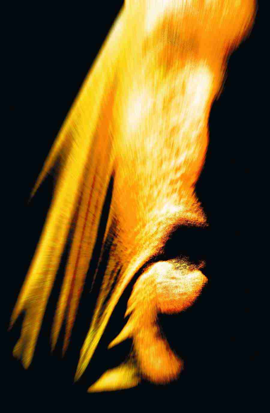 Jump - Digital Vision ></a>
<script language=JavaScript> 
  var txt = 