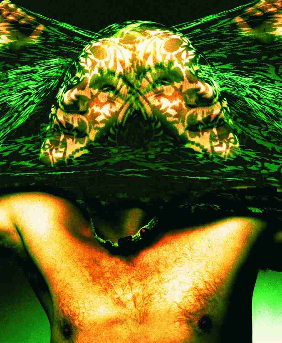 Jump - Digital Vision ></a>
<script language=JavaScript> 
  var txt = 