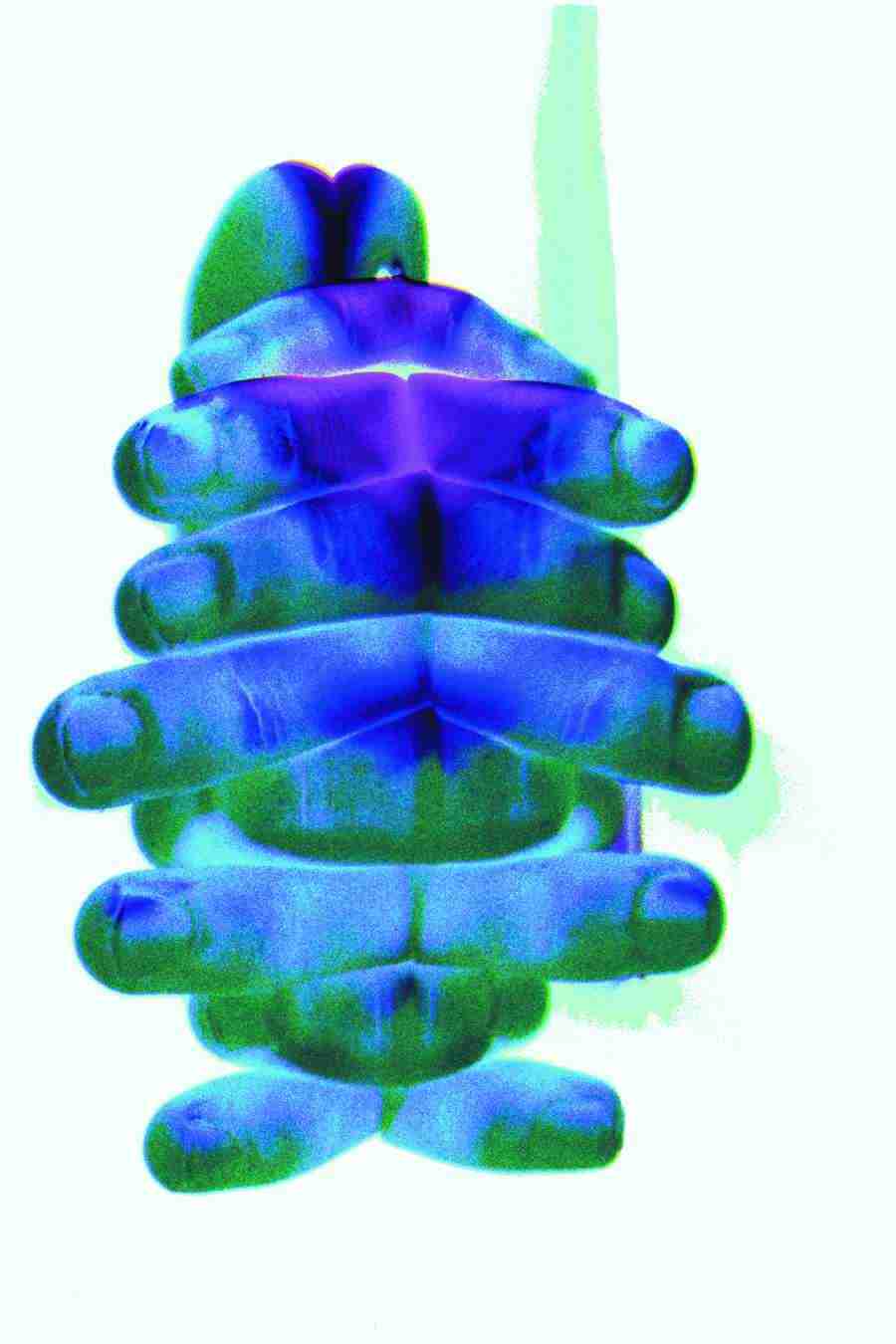 Jump - Digital Vision ></a>
<script language=JavaScript> 
  var txt = 