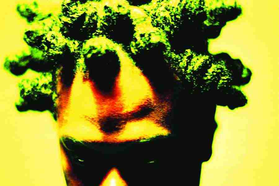 Jump - Digital Vision ></a>
<script language=JavaScript> 
  var txt = 