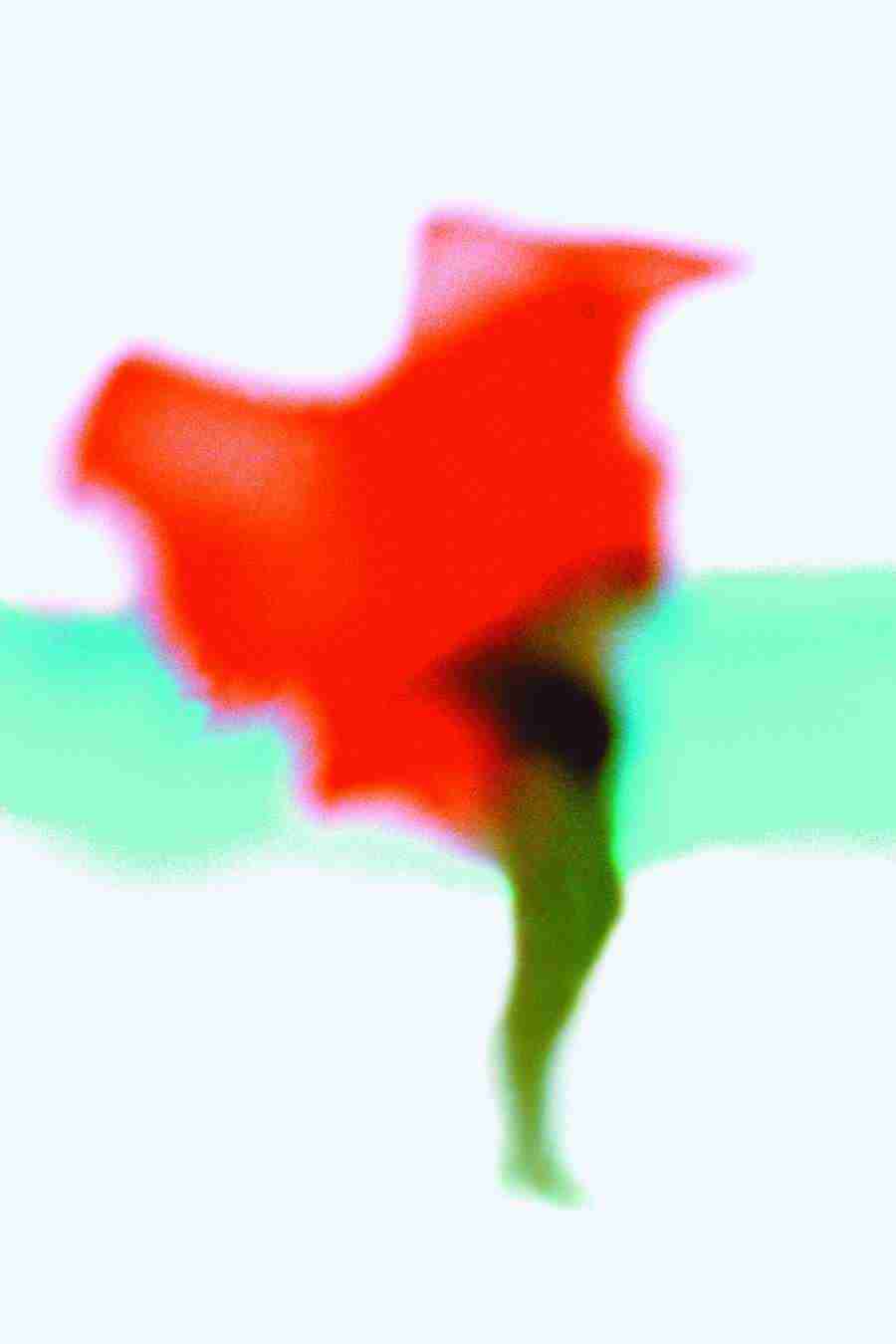 Jump - Digital Vision ></a>
<script language=JavaScript> 
  var txt = 