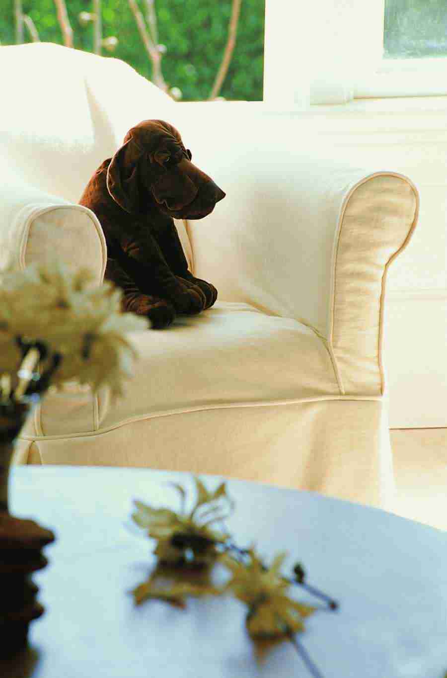 Living Space - Digital Vision ></a>
<script language=JavaScript> 
  var txt = 