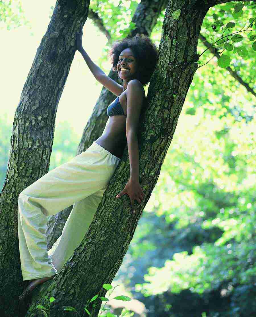 Movers and Shakers - Digital Vision ></a>
<script language=JavaScript> 
  var txt = 