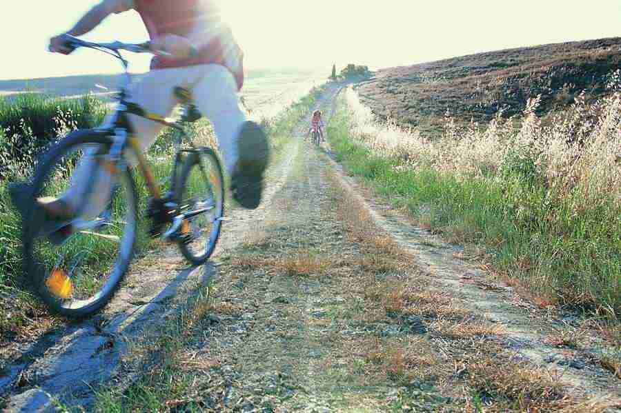 Movers and Shakers - Digital Vision ></a>
<script language=JavaScript> 
  var txt = 