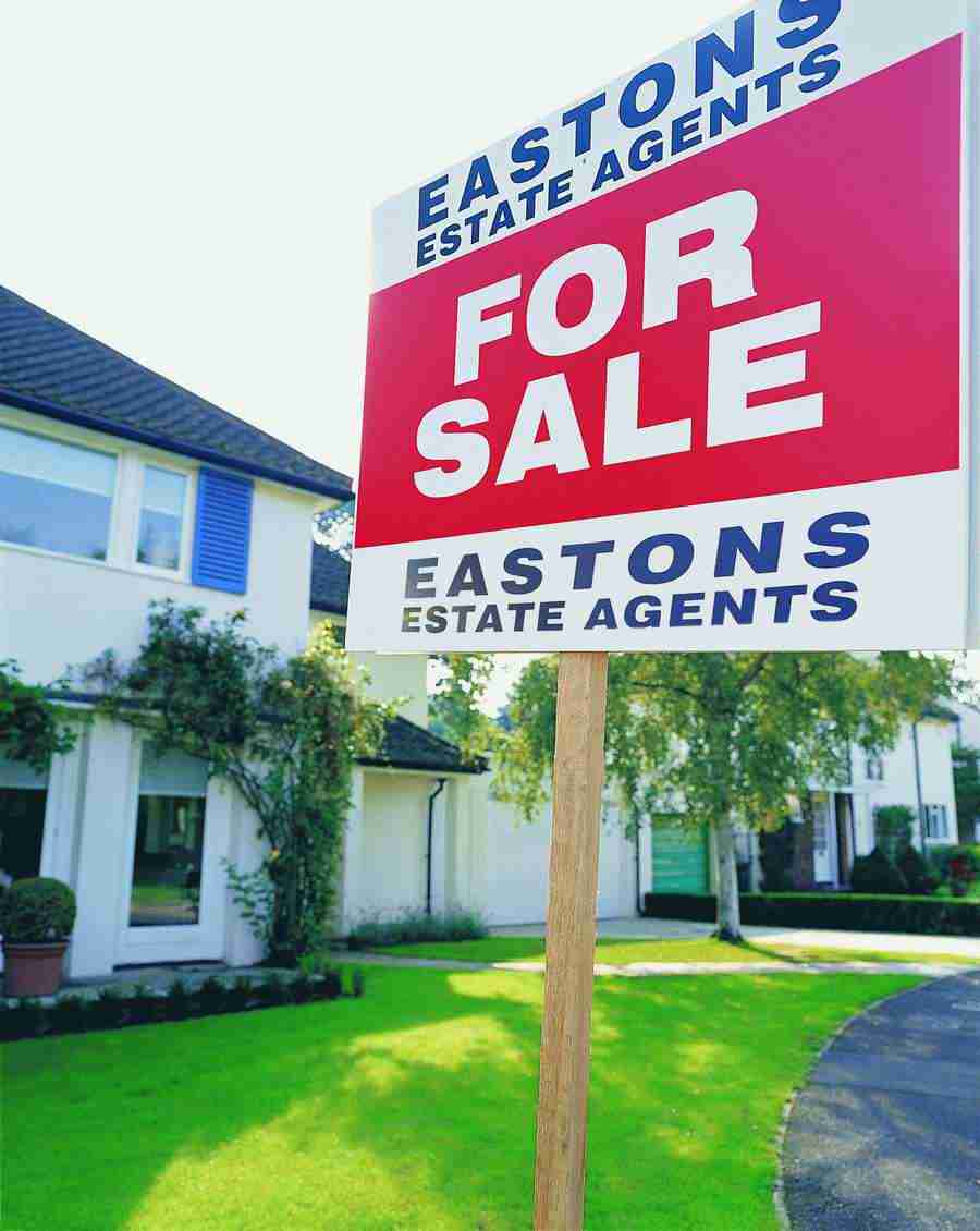 Moving In - Digital Vision ></a>
<script language=JavaScript> 
  var txt = 