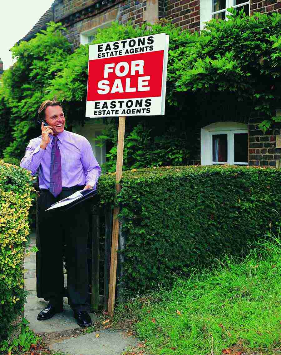 Moving In - Digital Vision ></a>
<script language=JavaScript> 
  var txt = 