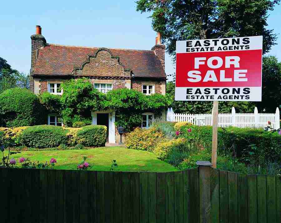 Moving In - Digital Vision ></a>
<script language=JavaScript> 
  var txt = 