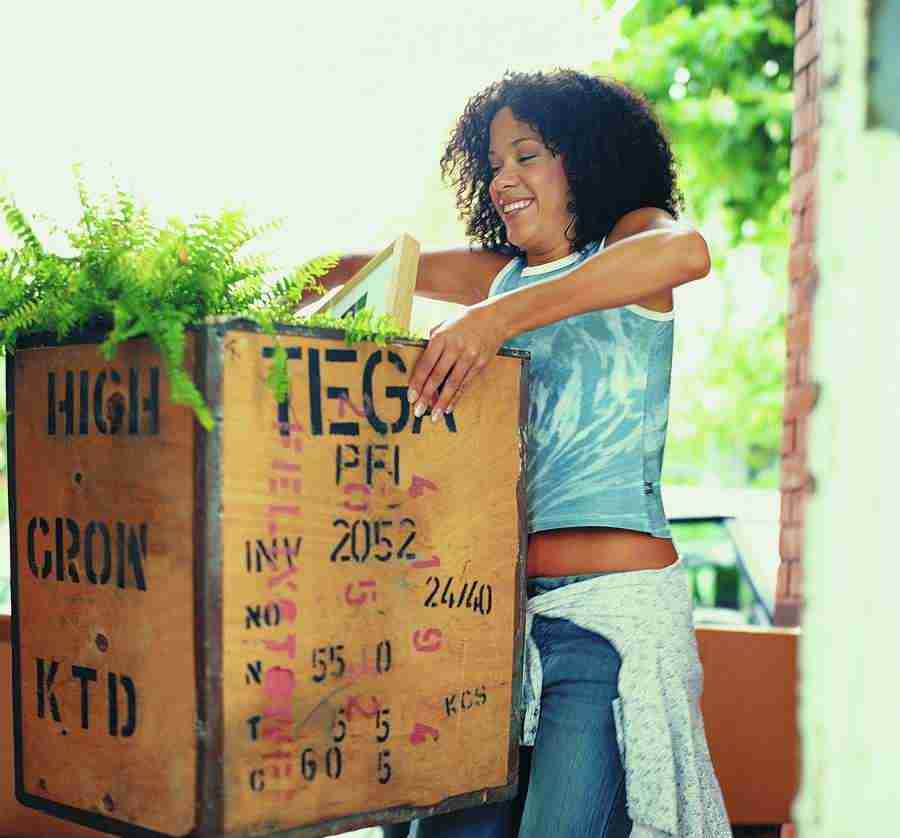 Moving In - Digital Vision ></a>
<script language=JavaScript> 
  var txt = 