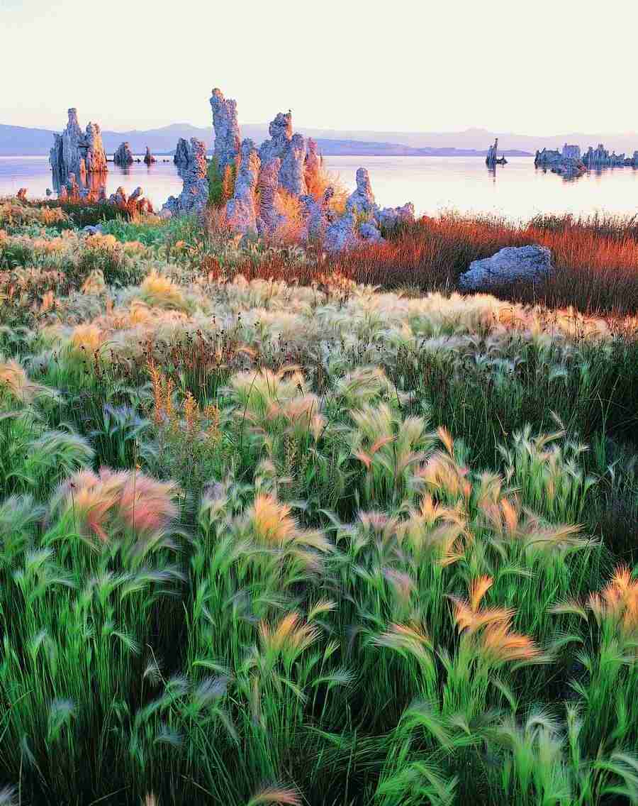 Seasons - Digital Vision ></a>
<script language=JavaScript> 
  var txt = 