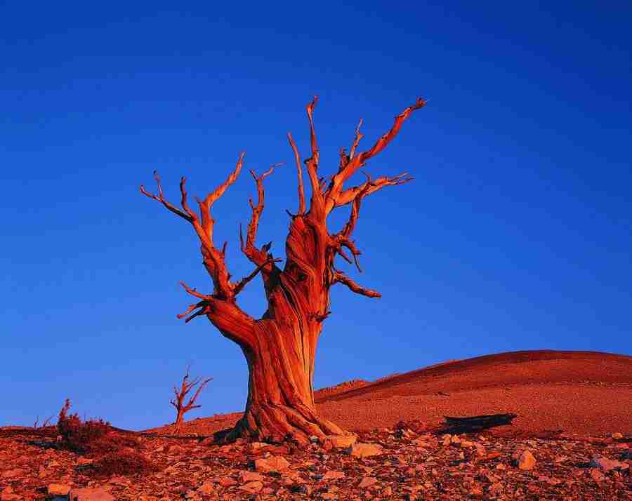 Seasons - Digital Vision ></a>
<script language=JavaScript> 
  var txt = 