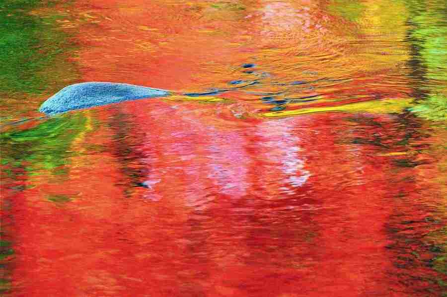 Seasons - Digital Vision ></a>
<script language=JavaScript> 
  var txt = 