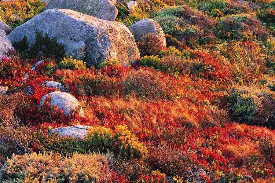 Seasons - Digital Vision ></a>
<script language=JavaScript> 
  var txt = 