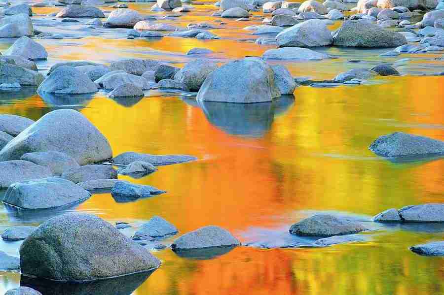 Seasons - Digital Vision ></a>
<script language=JavaScript> 
  var txt = 