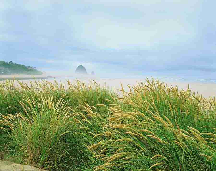 Seasons - Digital Vision ></a>
<script language=JavaScript> 
  var txt = 