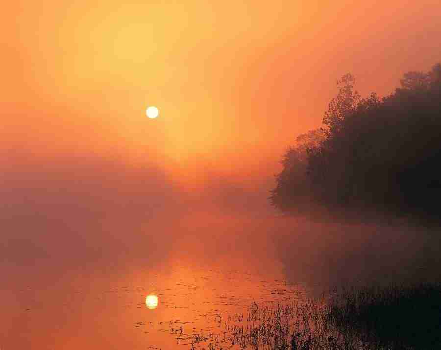 Seasons - Digital Vision ></a>
<script language=JavaScript> 
  var txt = 