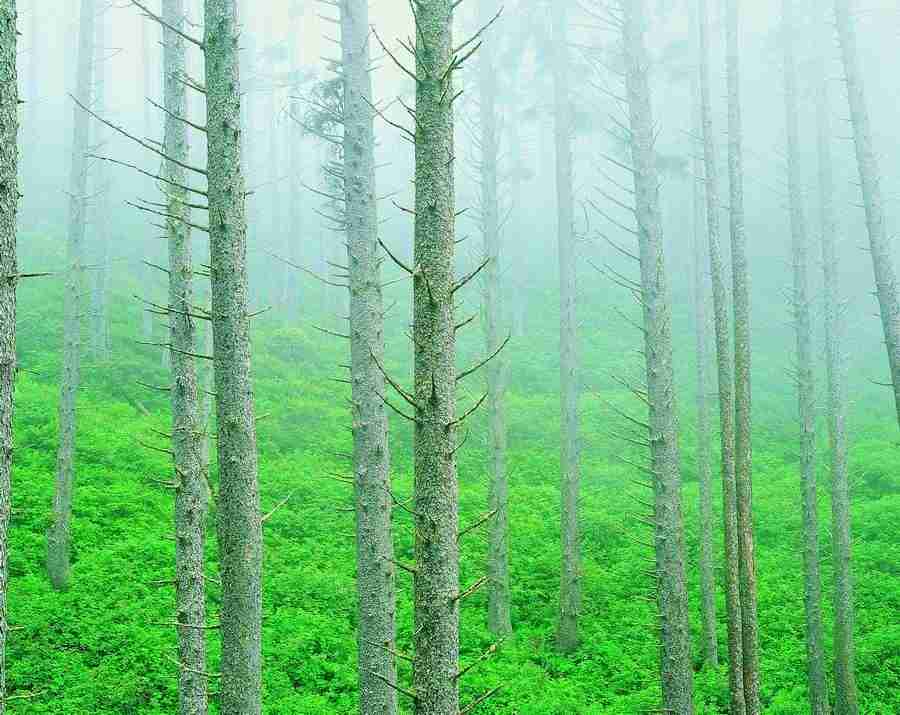 Seasons - Digital Vision ></a>
<script language=JavaScript> 
  var txt = 