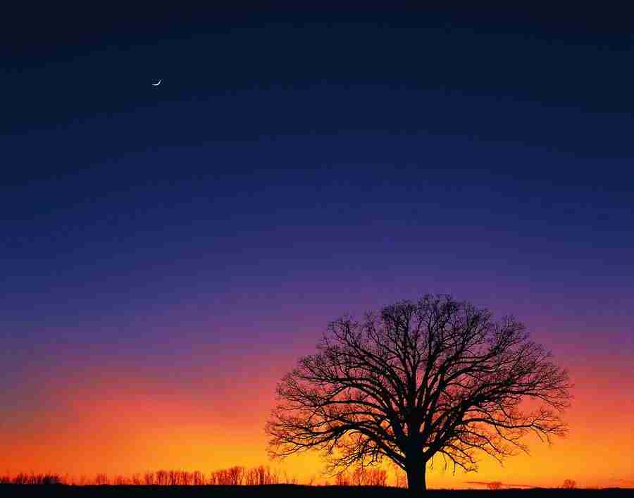 Seasons - Digital Vision ></a>
<script language=JavaScript> 
  var txt = 