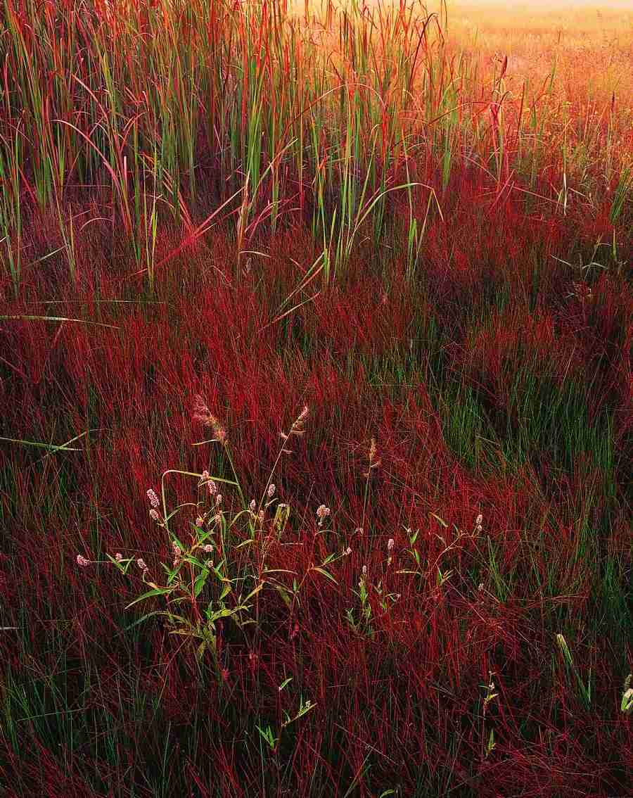 Seasons - Digital Vision ></a>
<script language=JavaScript> 
  var txt = 