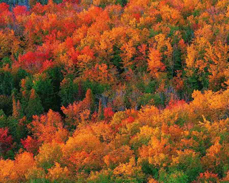 Seasons - Digital Vision ></a>
<script language=JavaScript> 
  var txt = 