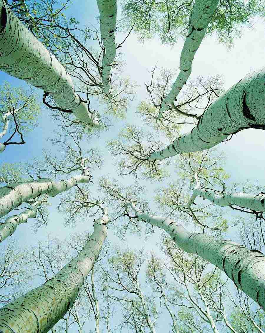 Seasons - Digital Vision ></a>
<script language=JavaScript> 
  var txt = 