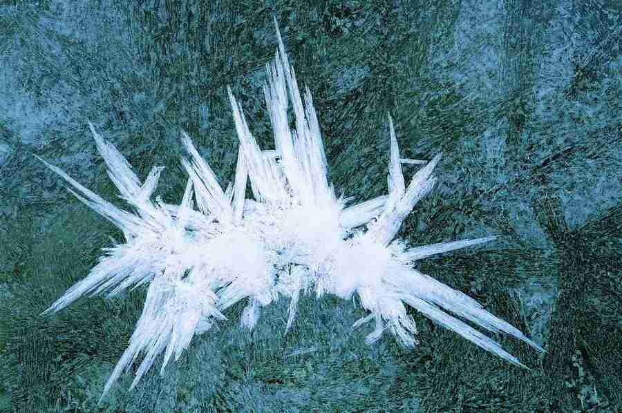 Seasons - Digital Vision ></a>
<script language=JavaScript> 
  var txt = 