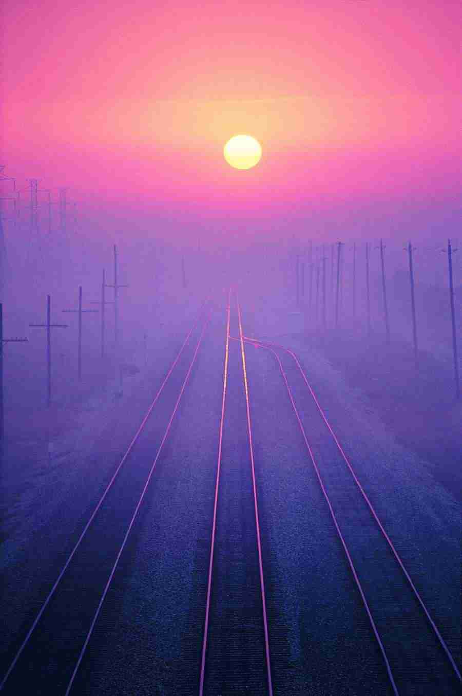 Transfort - Digital Vision ></a>
<script language=JavaScript> 
  var txt = 