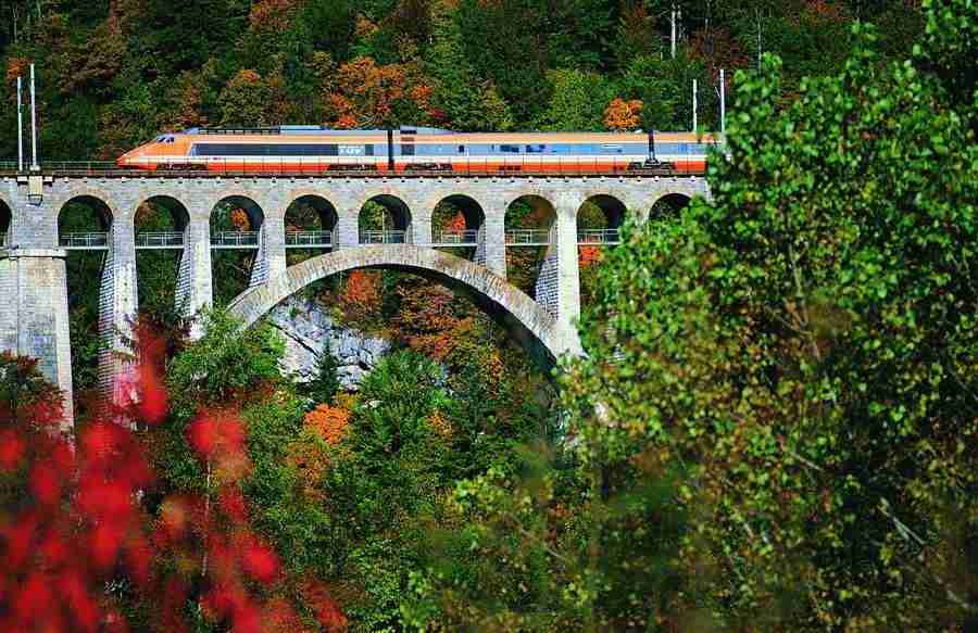 Transfort - Digital Vision ></a>
<script language=JavaScript> 
  var txt = 