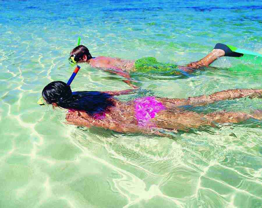 Tropical Retreat - Digital Vision ></a>
<script language=JavaScript> 
  var txt = 