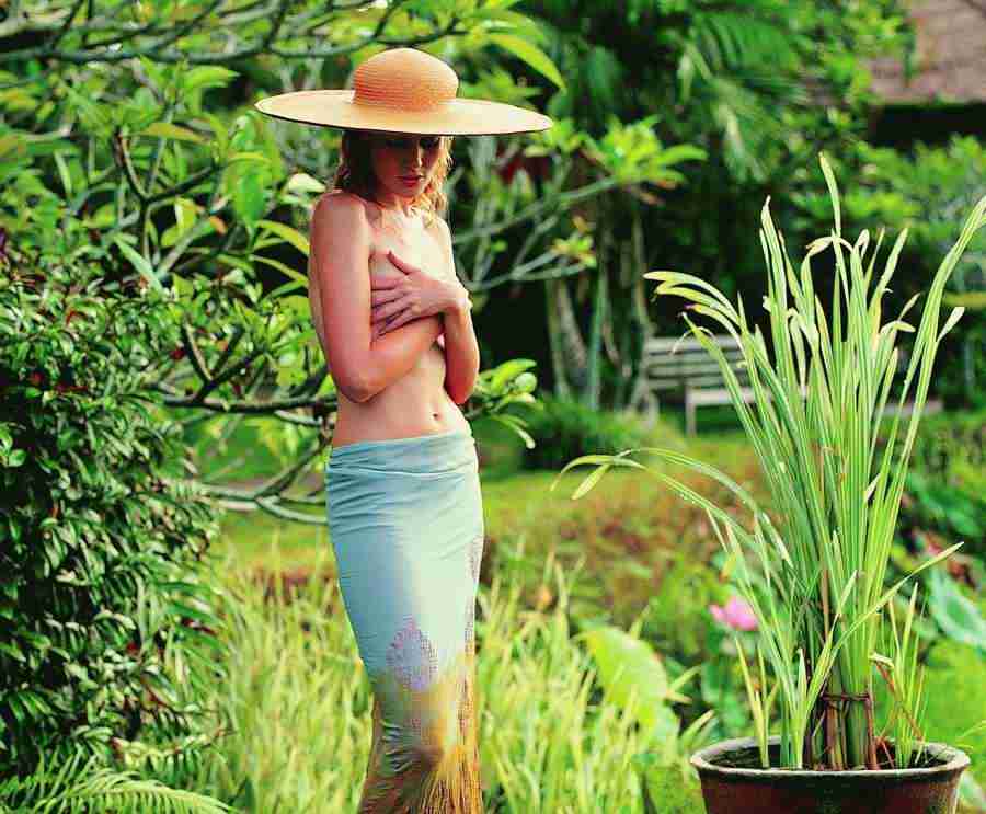 Tropical Retreat - Digital Vision ></a>
<script language=JavaScript> 
  var txt = 