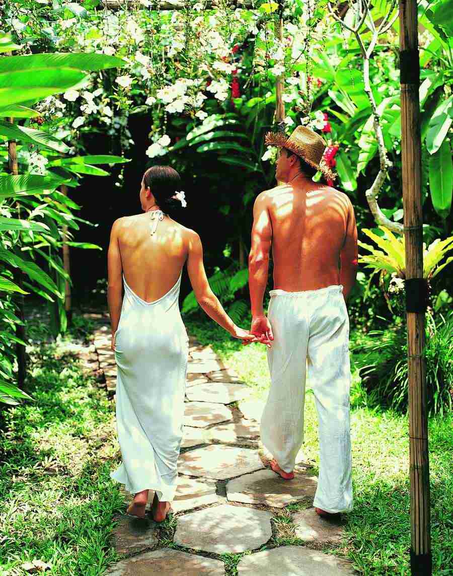 Tropical Retreat - Digital Vision ></a>
<script language=JavaScript> 
  var txt = 