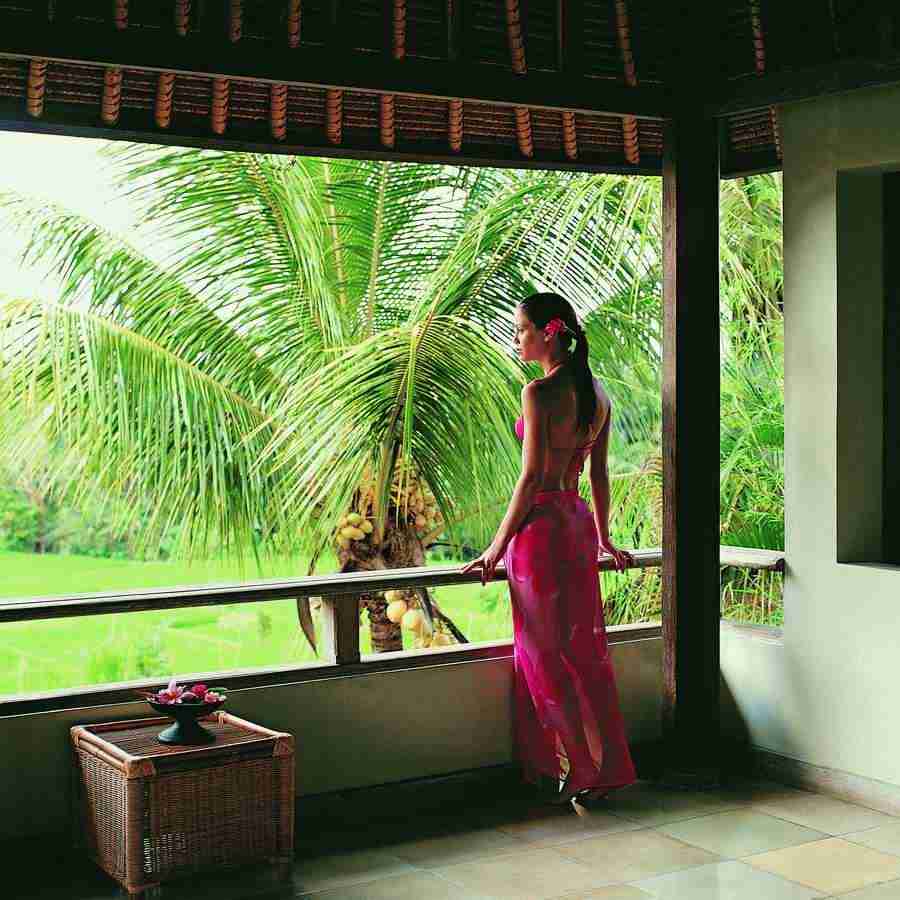 Tropical Retreat - Digital Vision ></a>
<script language=JavaScript> 
  var txt = 