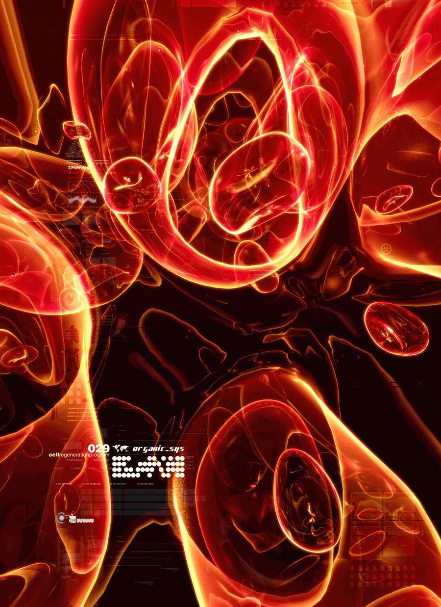 Luminary - Digital Vision Infinity 2 ></a>
<script language=JavaScript> 
  var txt = 