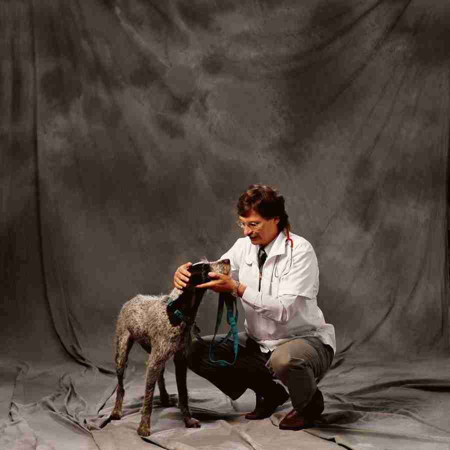 People & Professions - Eyewire ></a>
<script language=JavaScript> 
  var txt = 