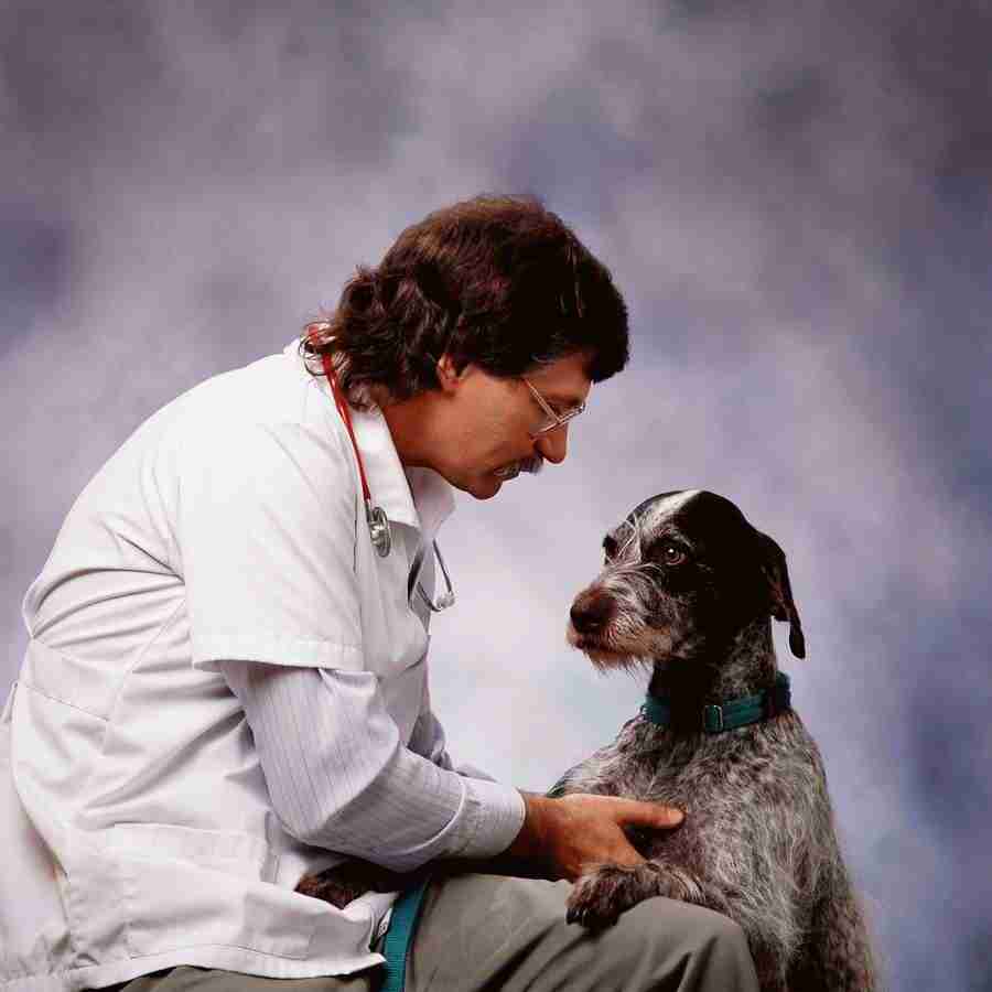 People & Professions - Eyewire ></a>
<script language=JavaScript> 
  var txt = 