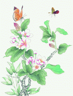 Fullerton Imagemore: Flowers and Birds II 