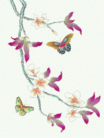Fullerton Imagemore: Flowers and Birds II 