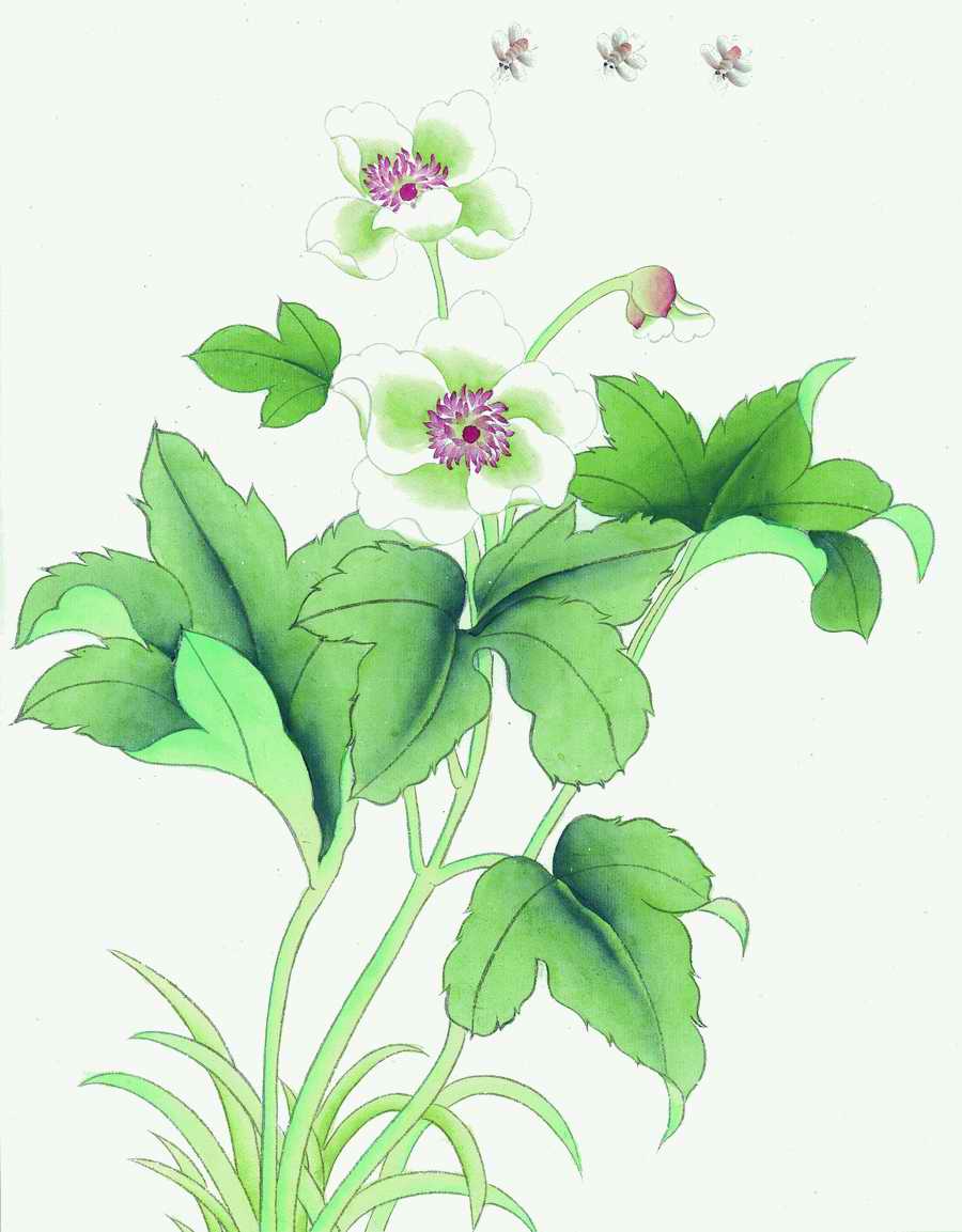 Flowers and Birds II - Fullerton Imagemore ></a>
<script language=JavaScript> 
  var txt = 