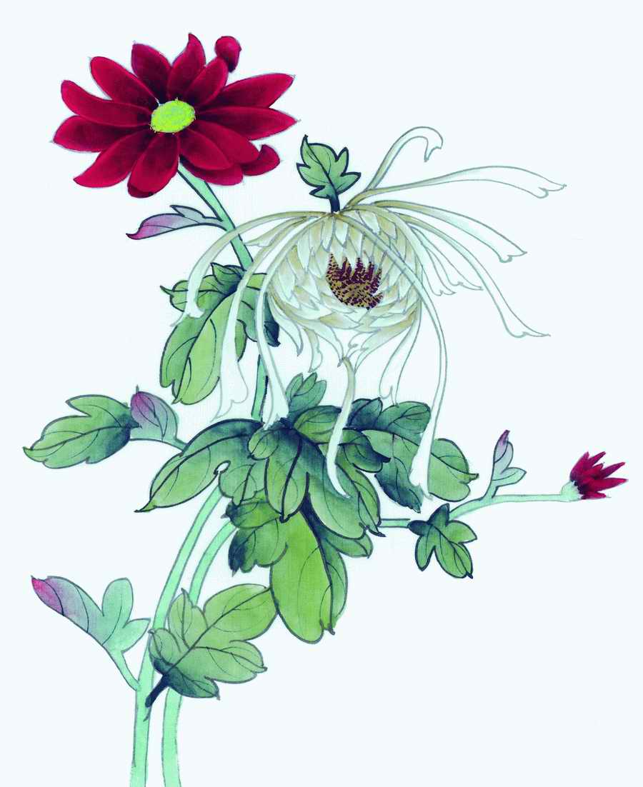 Flowers and Birds II - Fullerton Imagemore ></a>
<script language=JavaScript> 
  var txt = 
