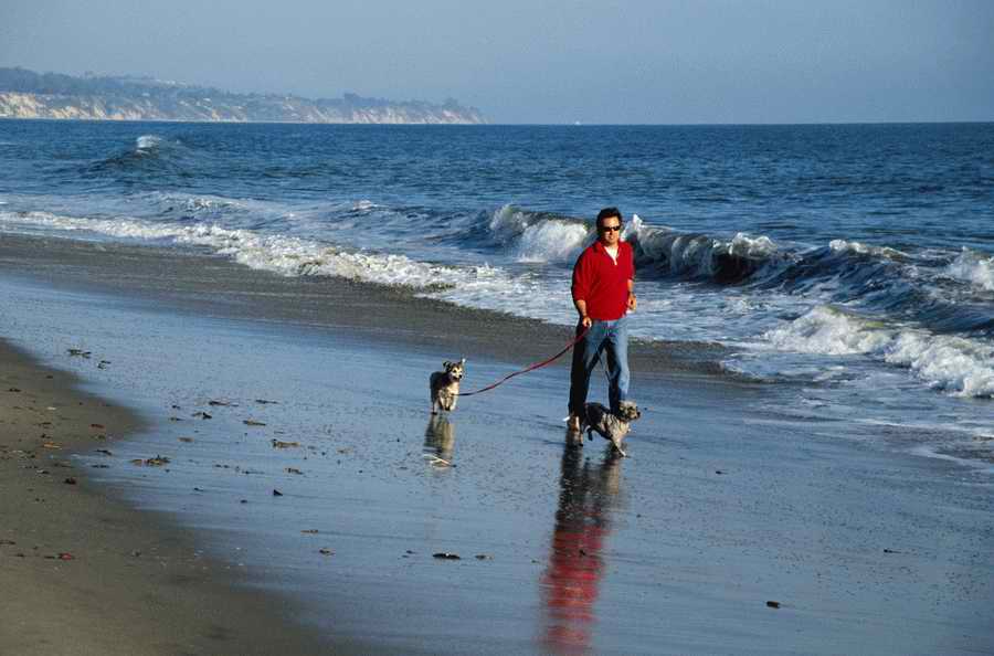 Fitness & Well-Being - Getty Images ></a>
<script language=JavaScript> 
  var txt = 
