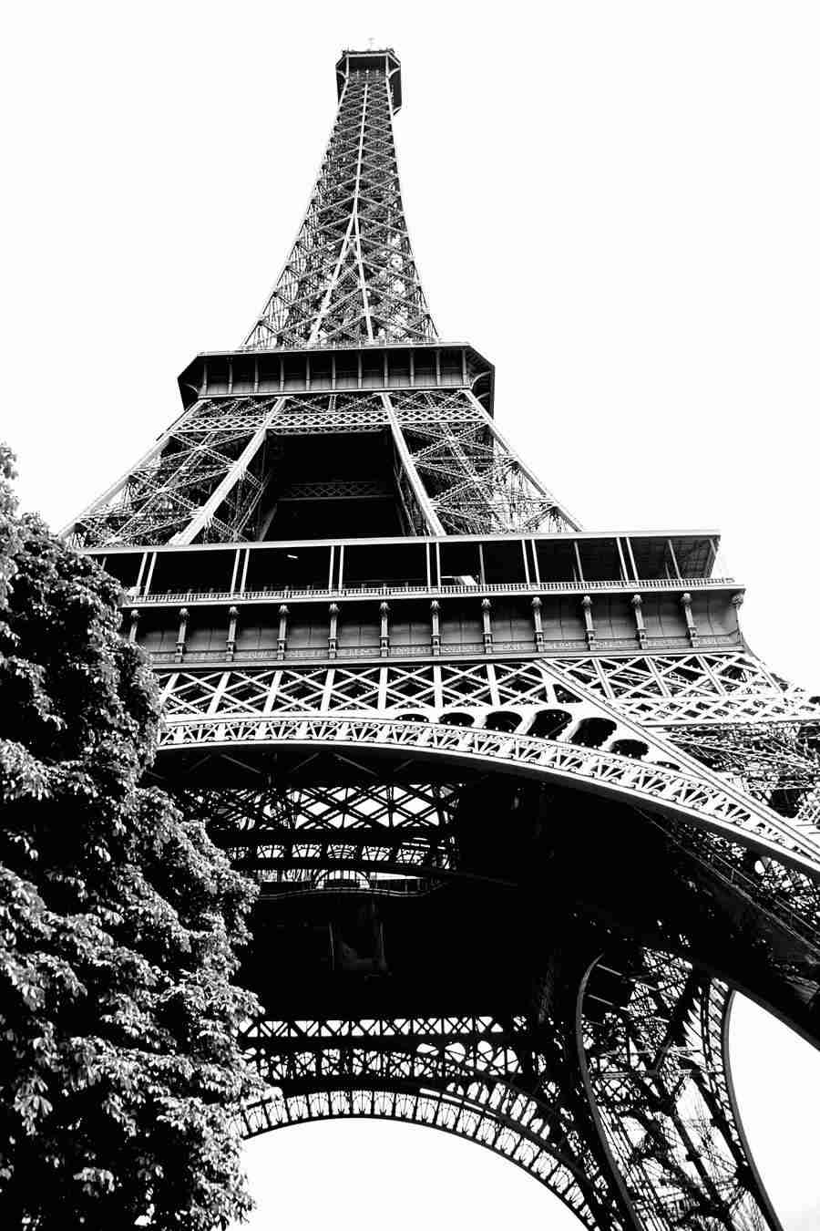 Crowd In Paris - GoodShoot  ></a>
<script language=JavaScript> 
  var txt = 