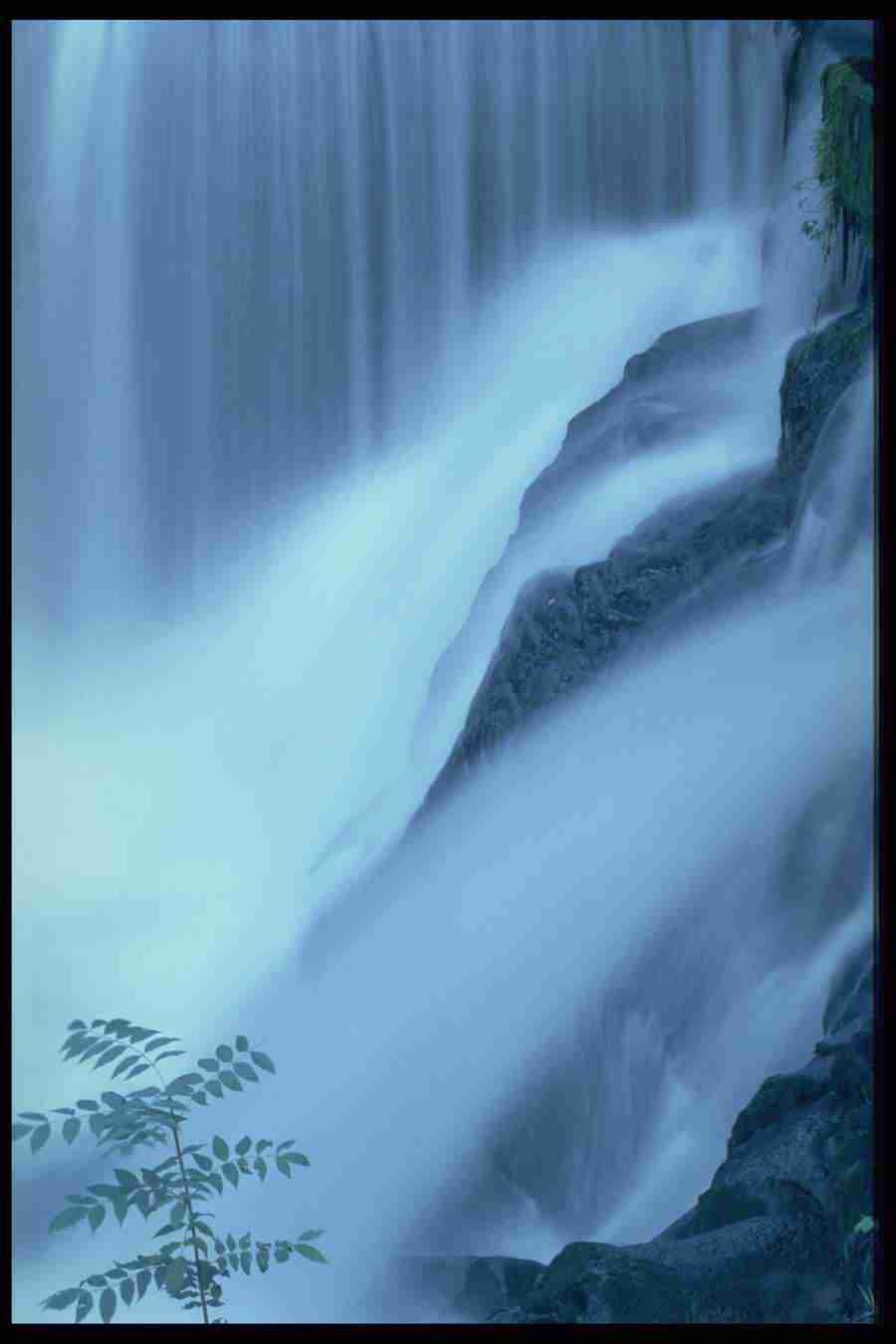 Elements and Nature - GoodShoot  ></a>
<script language=JavaScript> 
  var txt = 