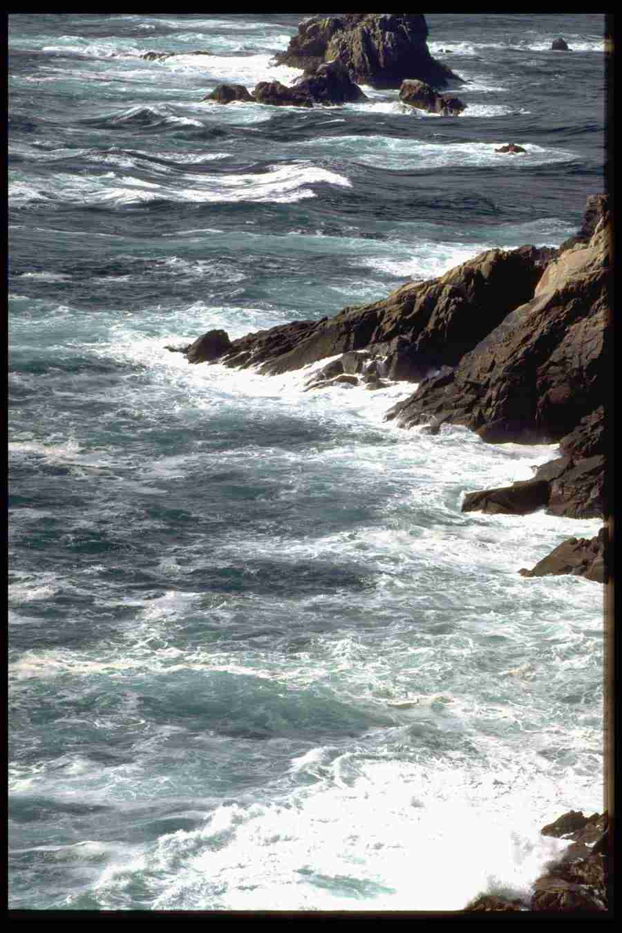 Elements and Nature - GoodShoot  ></a>
<script language=JavaScript> 
  var txt = 