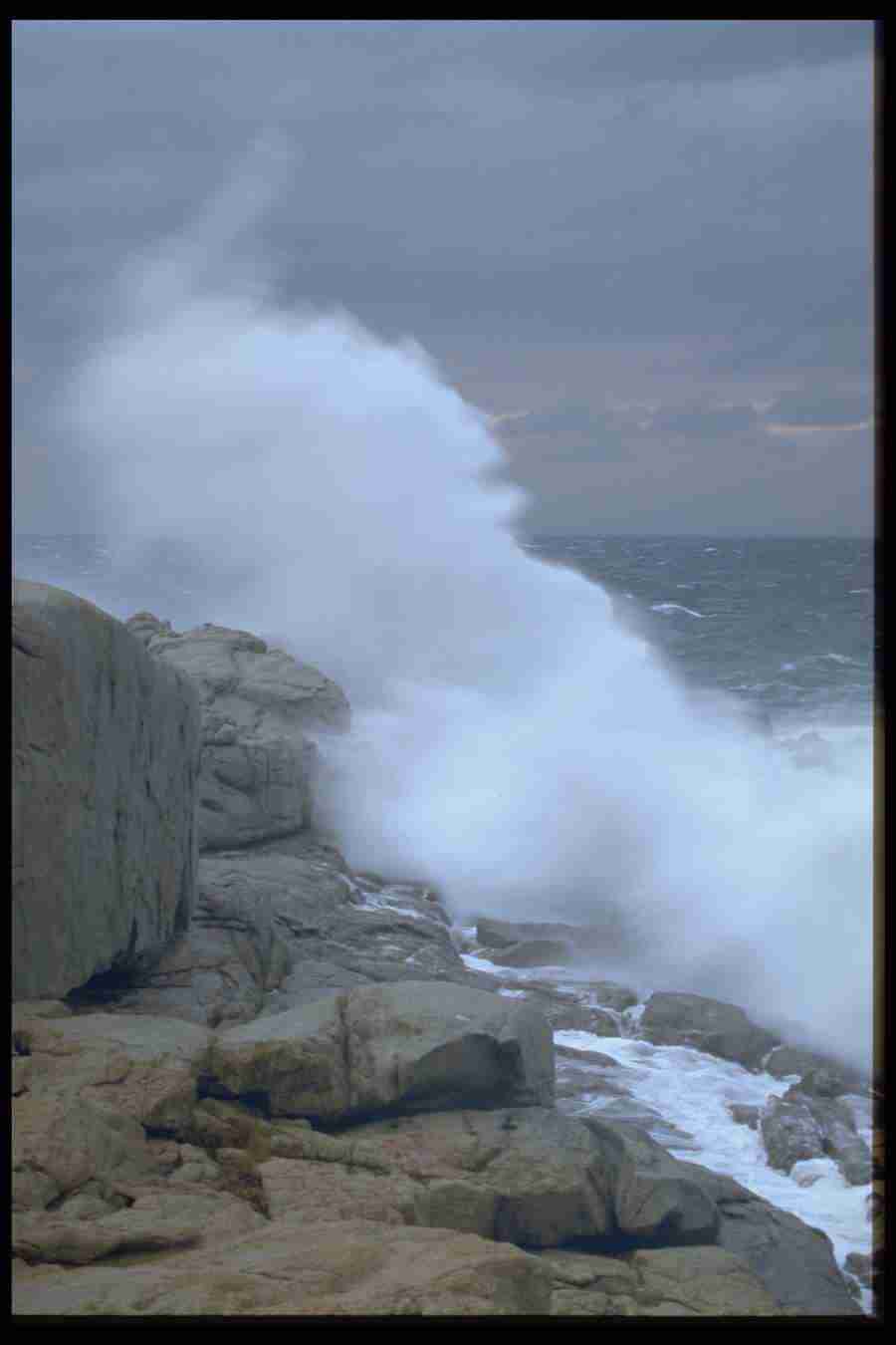 Elements and Nature - GoodShoot  ></a>
<script language=JavaScript> 
  var txt = 