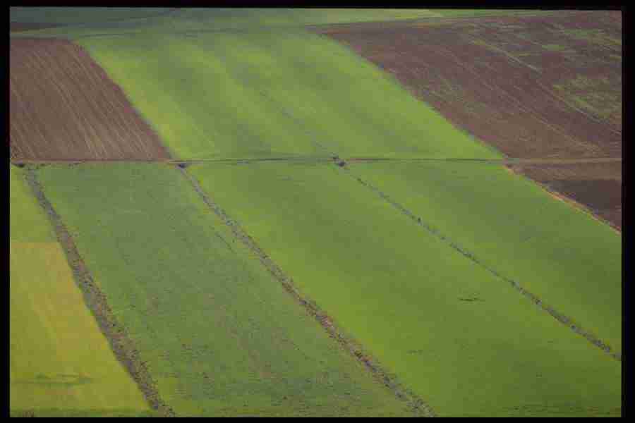Elements and Nature - GoodShoot  ></a>
<script language=JavaScript> 
  var txt = 
