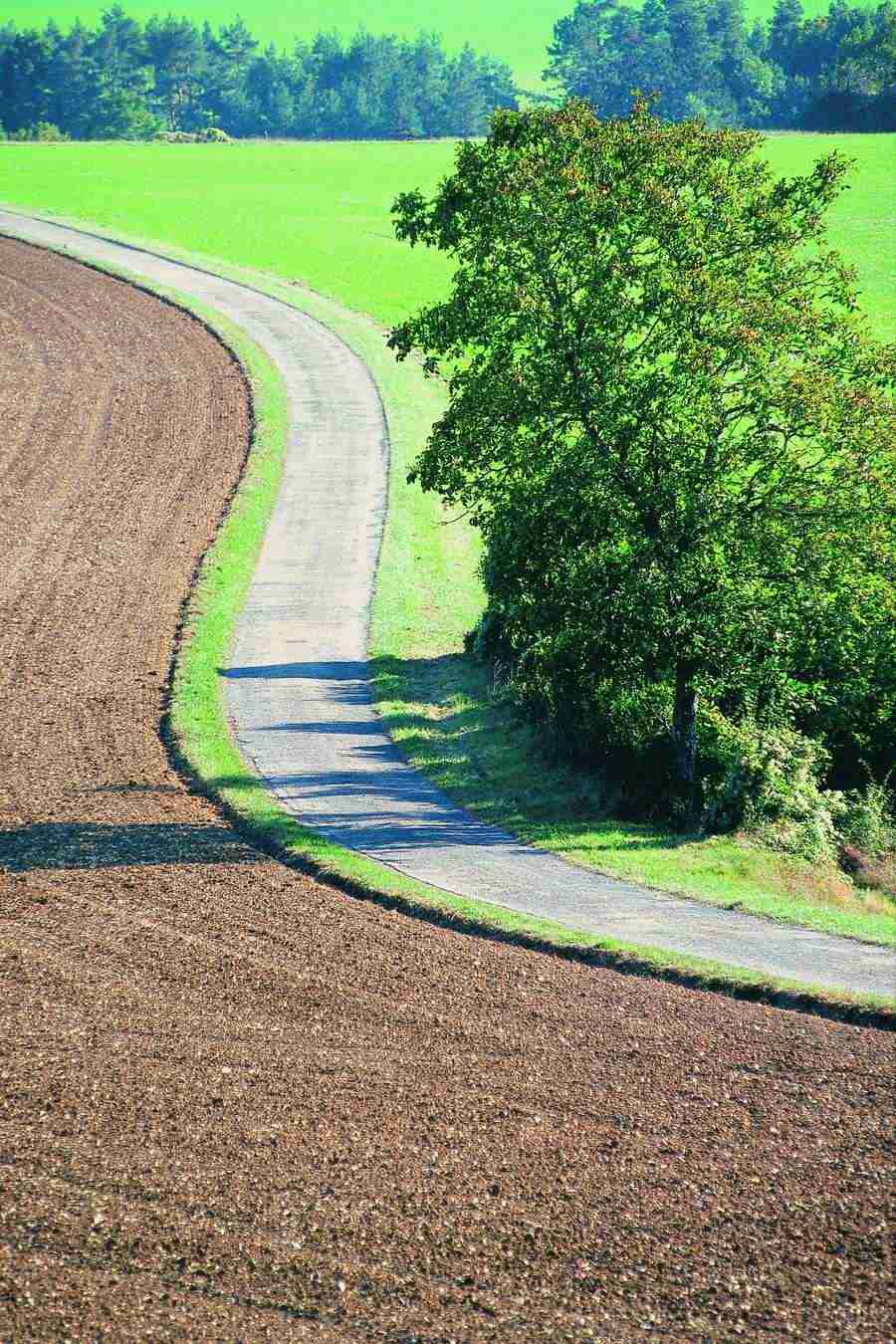 Industry and Traffic - GoodShoot  ></a>
<script language=JavaScript> 
  var txt = 