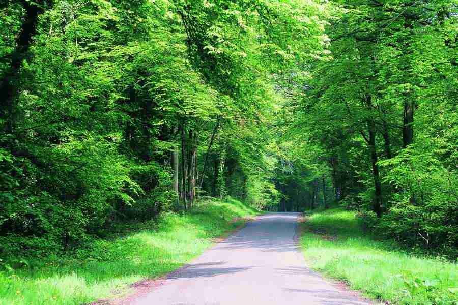 Industry and Traffic - GoodShoot  ></a>
<script language=JavaScript> 
  var txt = 