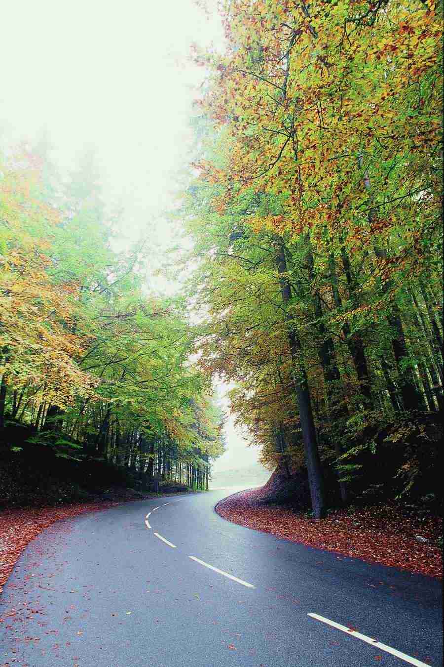 Industry and Traffic - GoodShoot  ></a>
<script language=JavaScript> 
  var txt = 