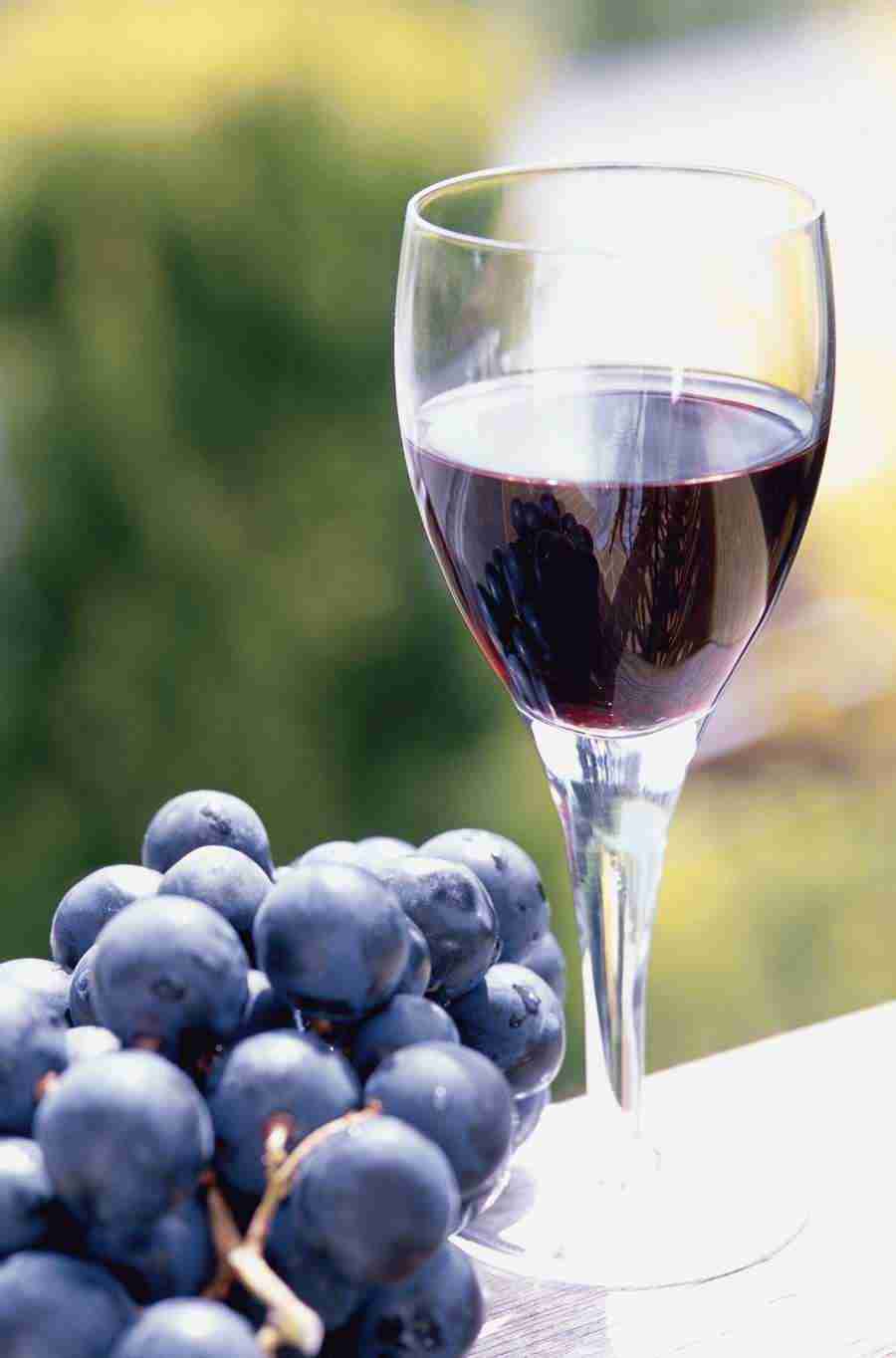 Wine - GoodShoot  ></a>
<script language=JavaScript> 
  var txt = 